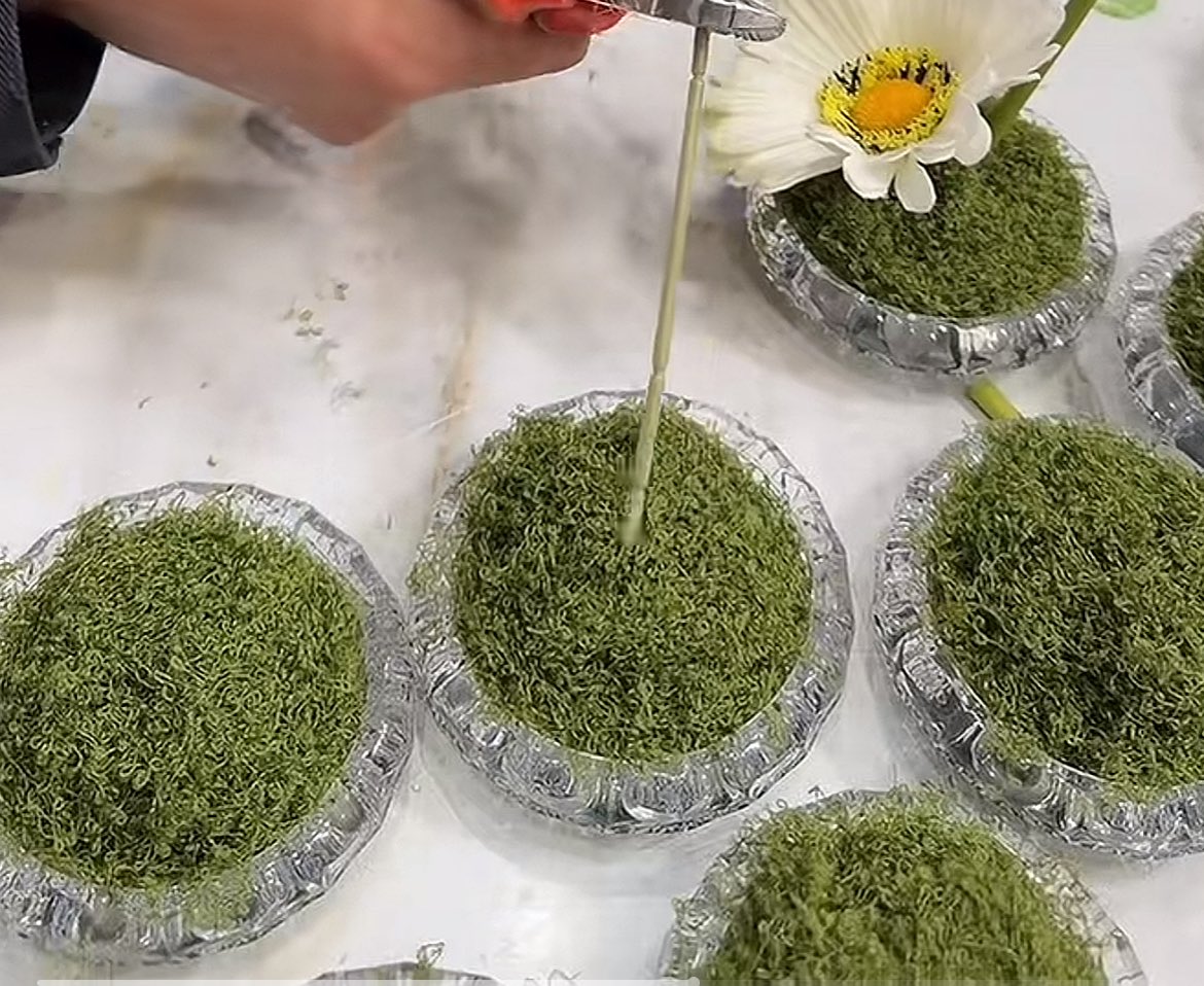 Better Call Shatha🤙🏼 tweet media