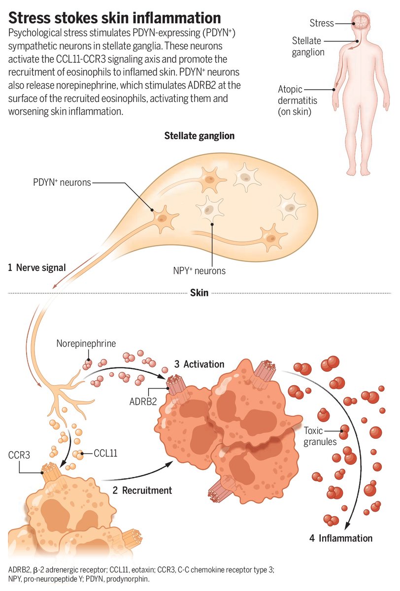 Science Magazine tweet media
