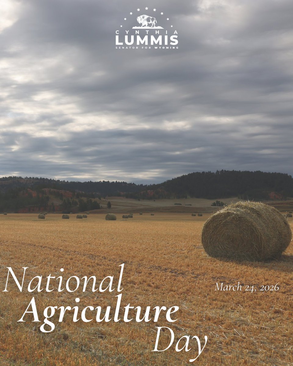 Senator Cynthia Lummis tweet media