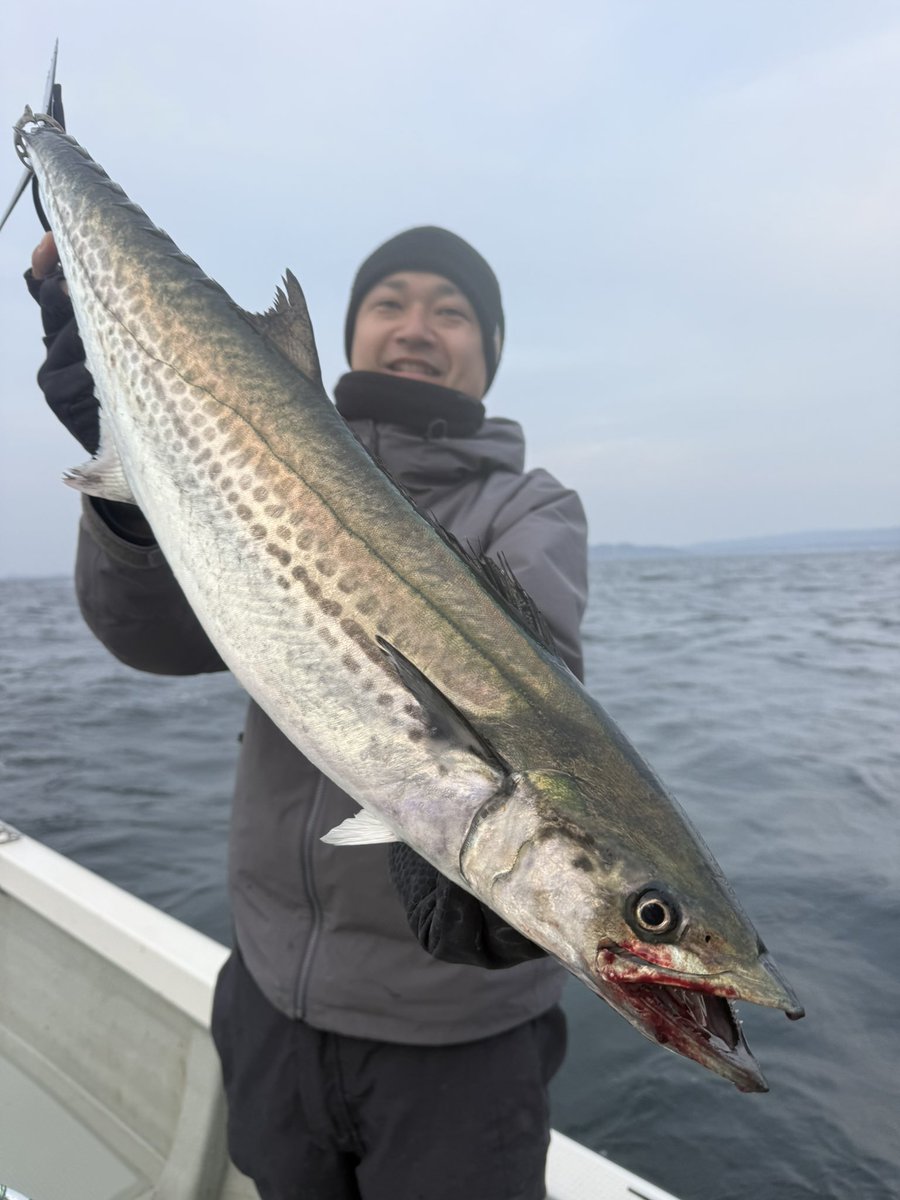 甲斐 拓也 @東京湾 ガイド船BASE tweet media