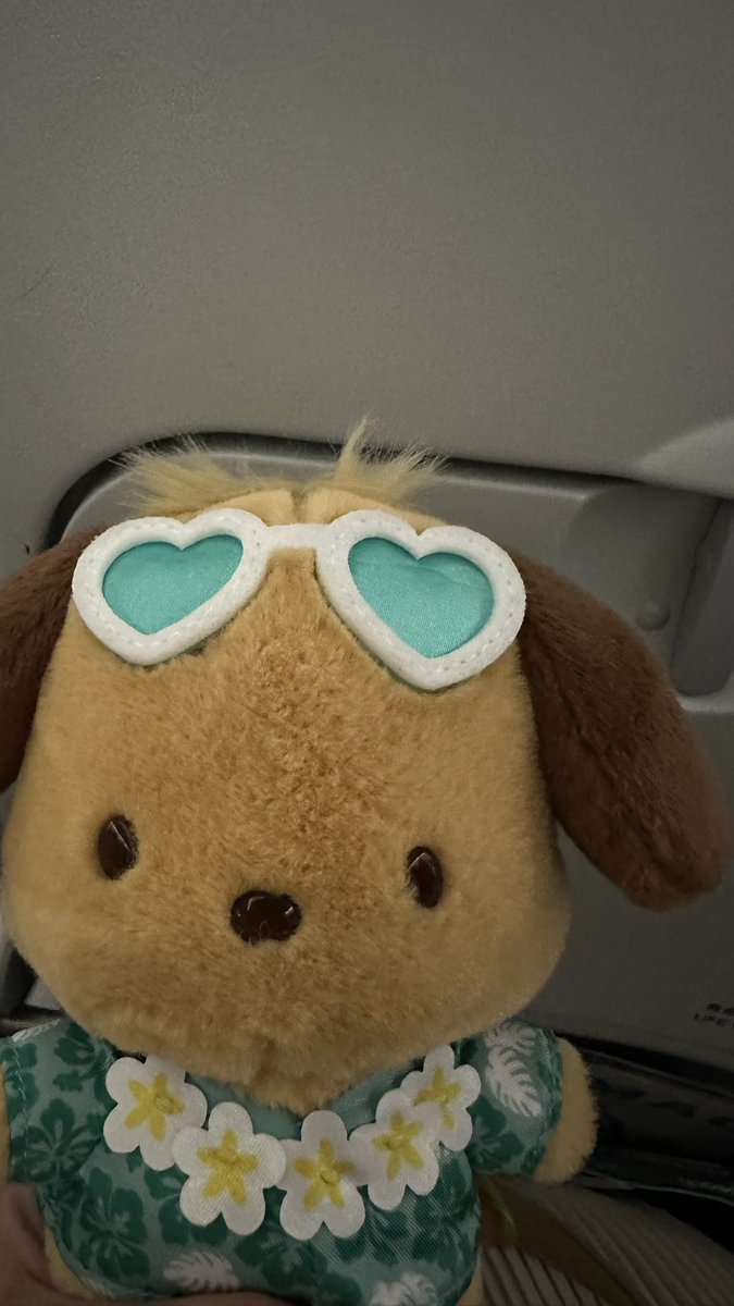 Yun_66 ₍^._.^₎ 𐒡 tweet media