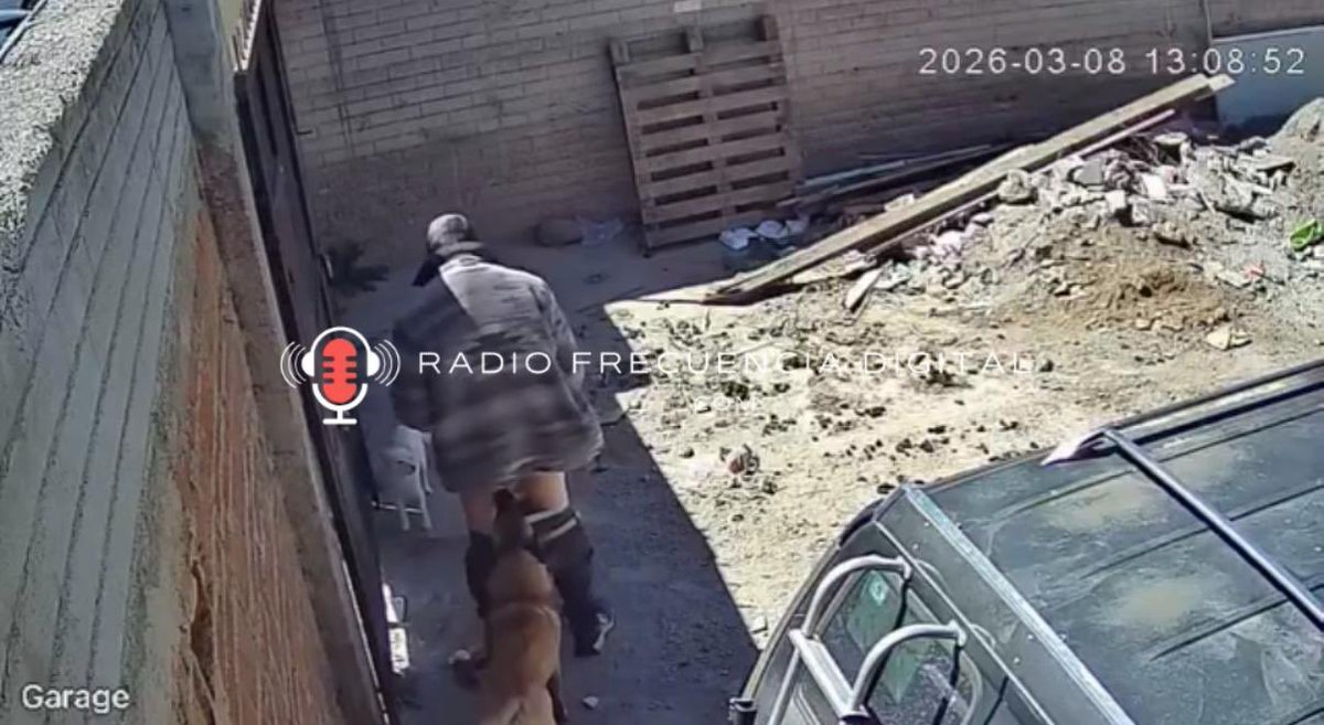 Radio Frecuencia Digital tweet media