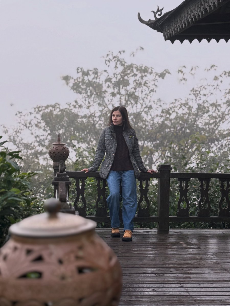 Maria Di tweet media