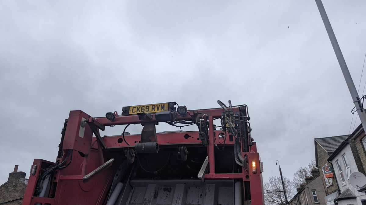 Juo (They/Them) 𓅃 tweet media