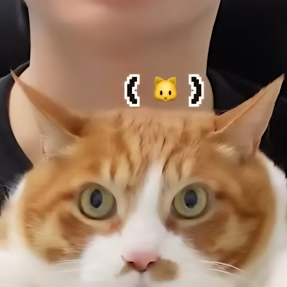 시나 x 하늘즈 tweet media