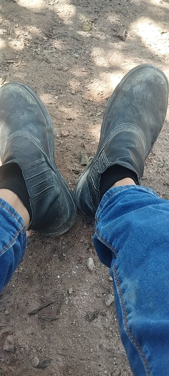 FINDON - PINTOR 👣 tweet media