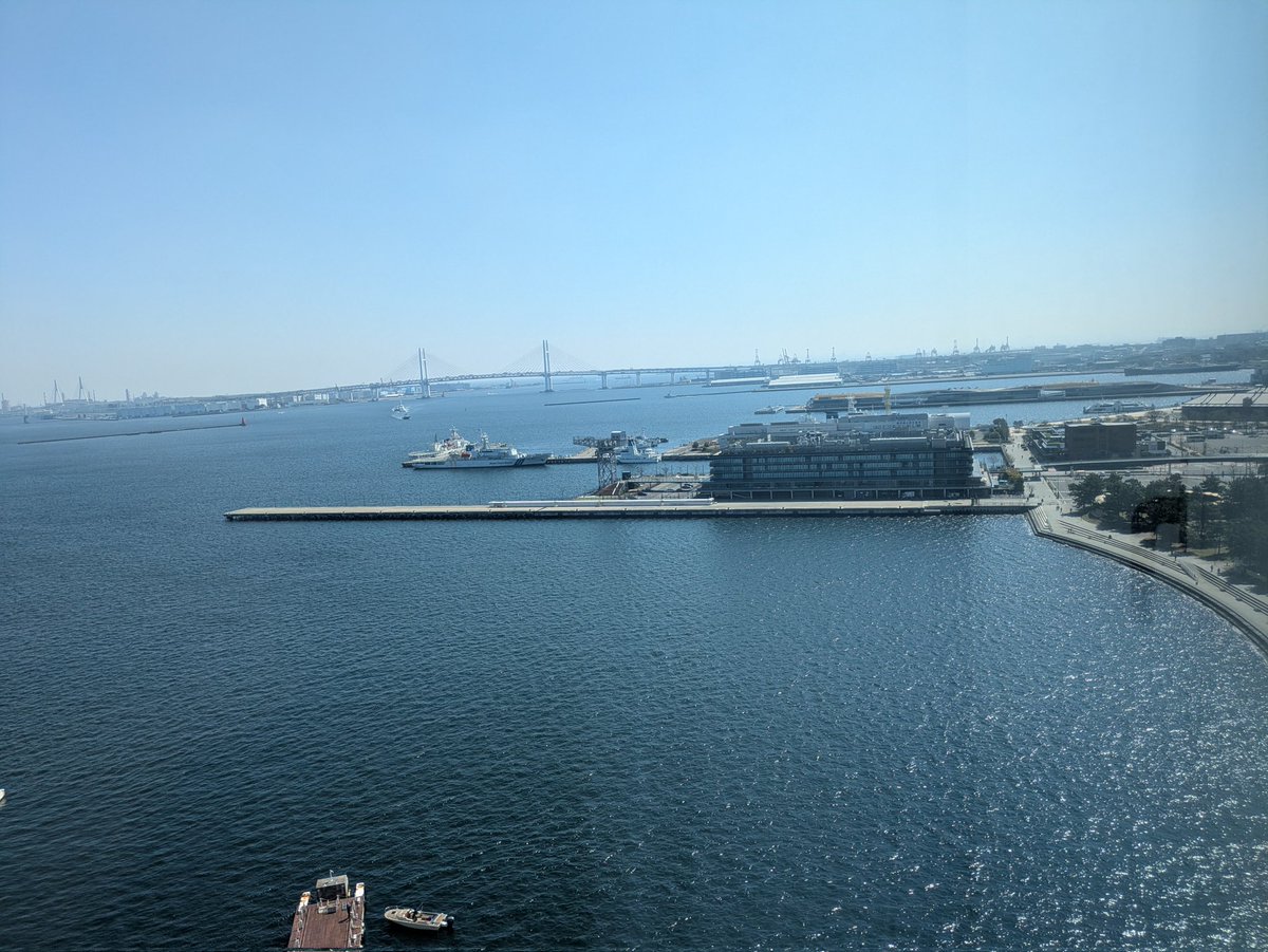 A_α ふぃる tweet media