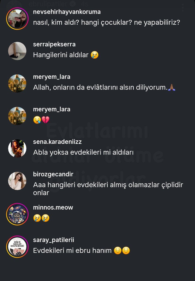 Seda Ünlem tweet media