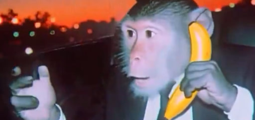 icooksolo tweet media