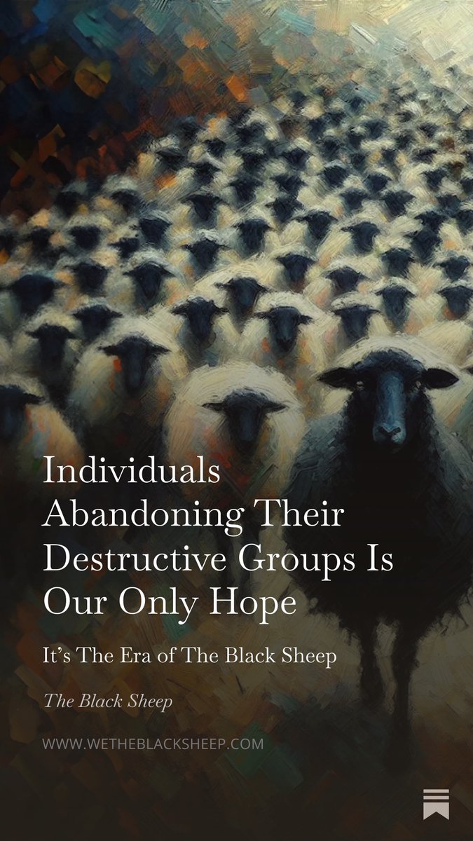 The Black Sheep tweet media