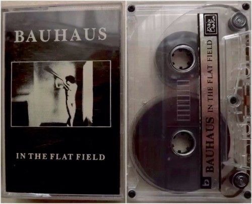 DEIMOS ⚣ ( –4/12 ) tweet media