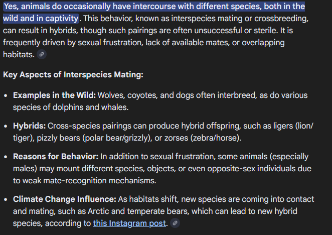 Bluthänfling tweet media