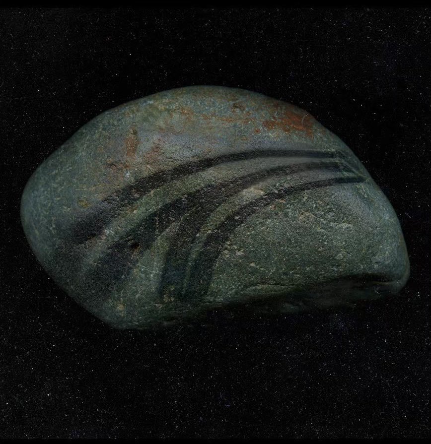 すゝめ tweet media