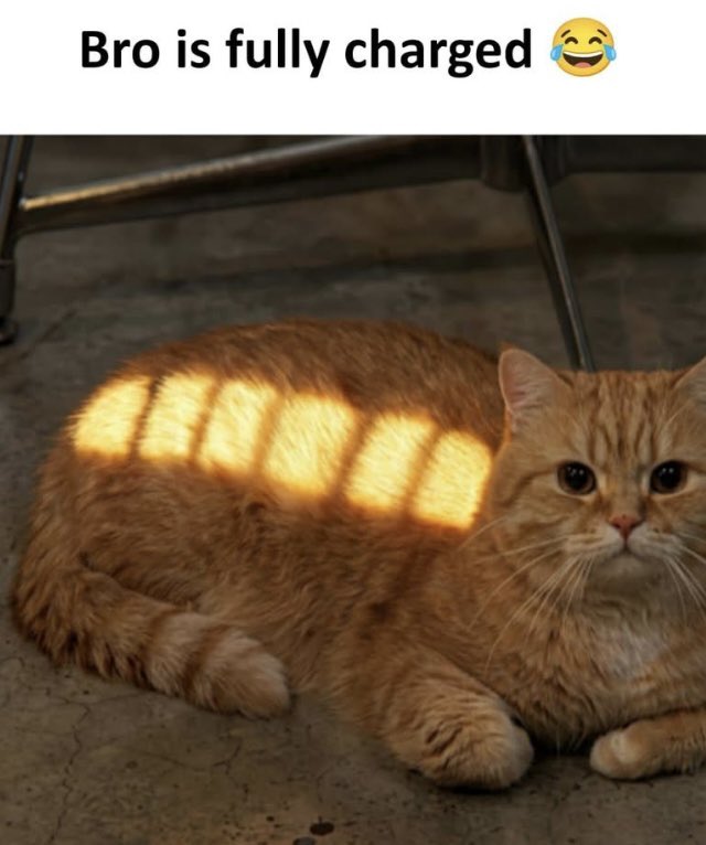 Mrs. Repinerator tweet media