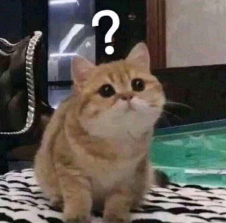 MORANᅠᅠ tweet media