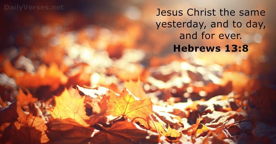 LyraKeltica tweet media