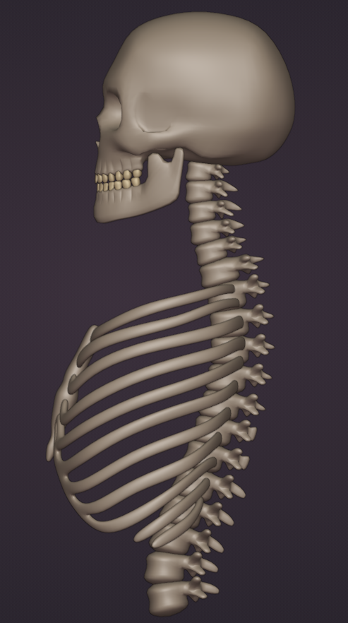 NeedyNerd (COMMS OPEN) tweet media