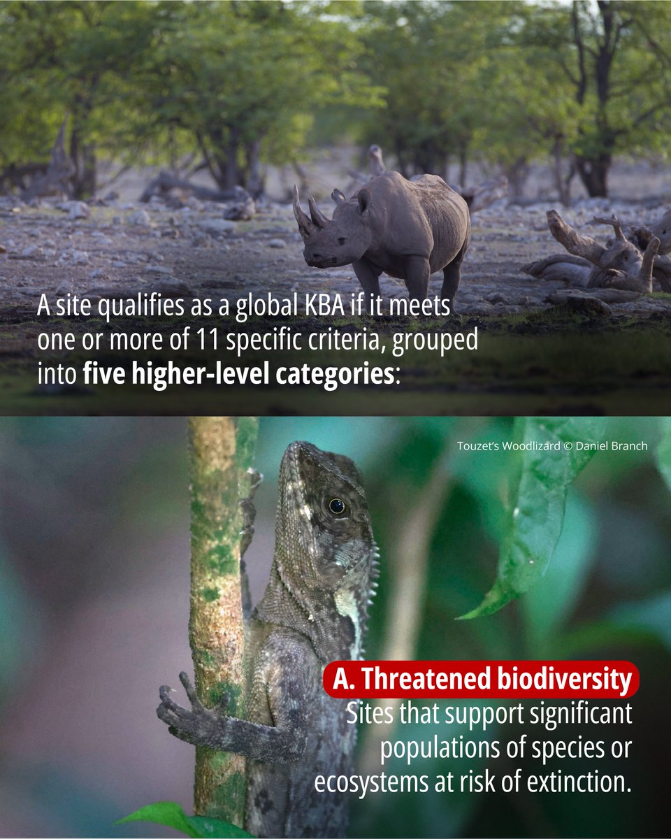 Key Biodiversity Areas tweet media