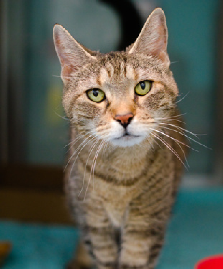 Jack5928 tweet media