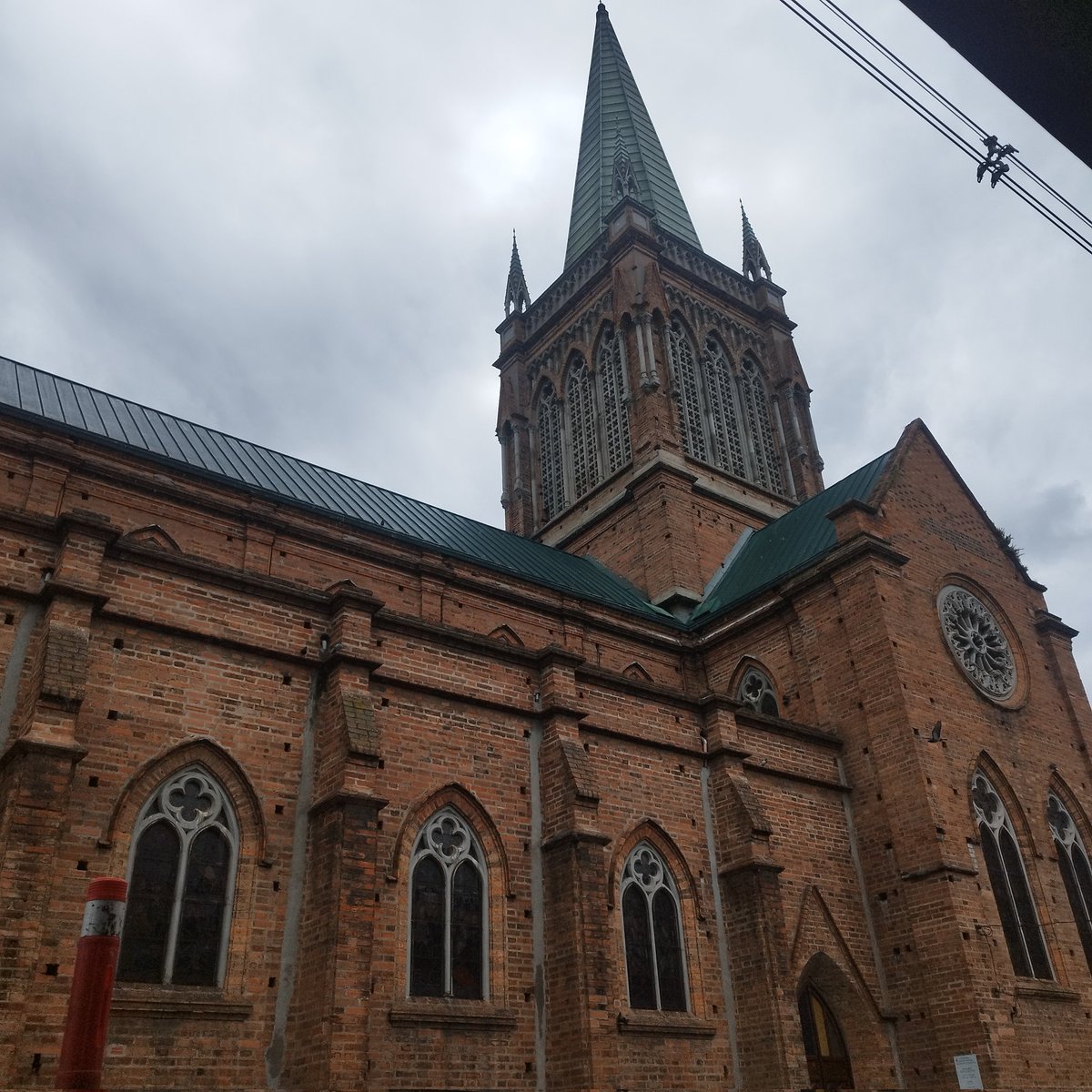 La Parroquia de Nuestra Señora del Perpetuo Socorro, dormidero y refugio ocasional de las guacamayas que surcan la ciudad. No sé si alguna vez también fue lugar de anidación. Esto último sí ocurrió hace unos años en la Parroquia de San José en la Avenida Oriental.