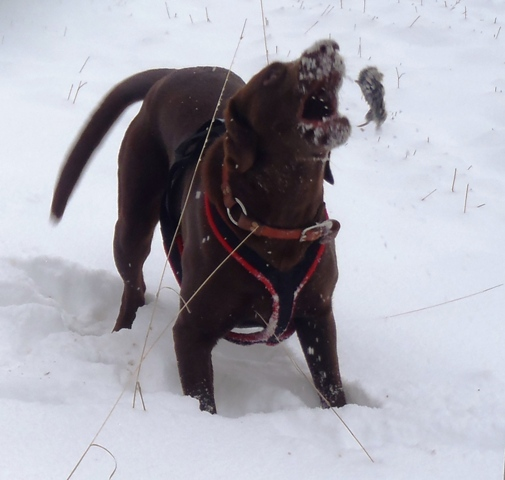 Rod Halvorsen at EVR_Forge. Jeremiah 6:16 tweet media