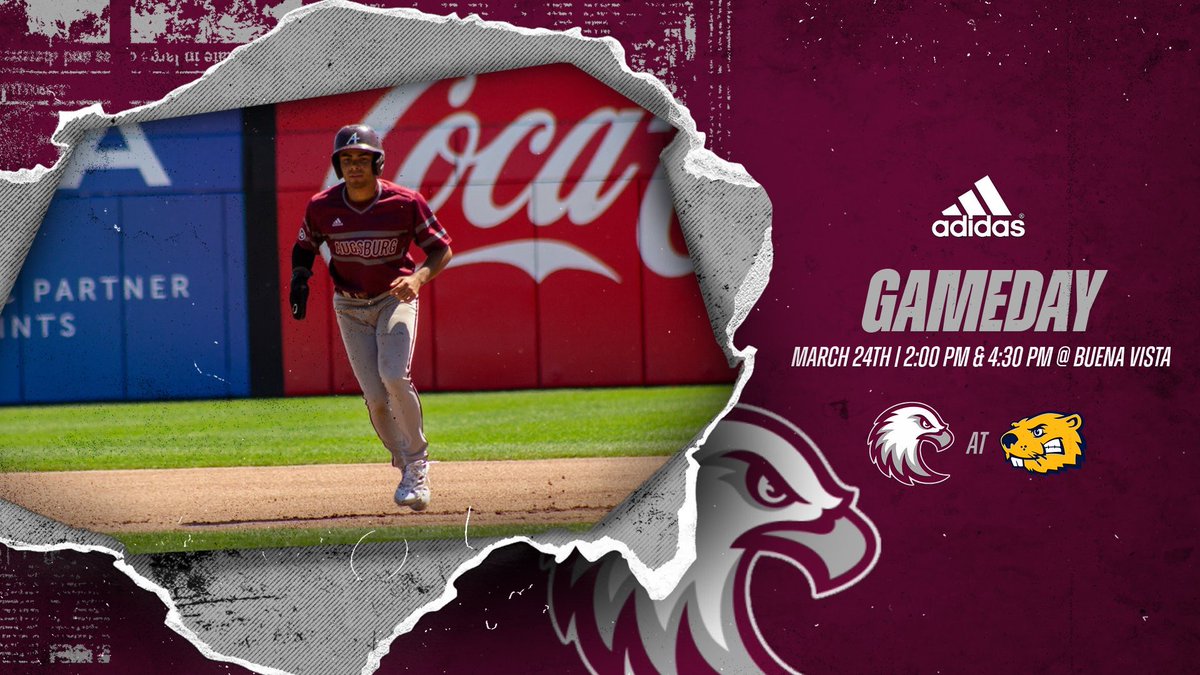 Augsburg Baseball tweet media