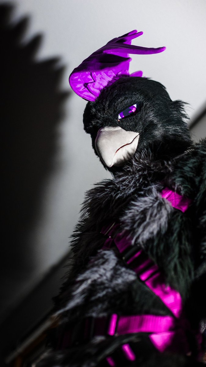 Dr. R Aven ➡️ FWA tweet media