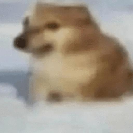 MhuxAlex's tweet photo. @Jorge_Most Entonces si hago un mapa de mierda como rojo vs azul, lo promocionó a morir en tik tok, me van a pagar? https://t.co/NYF309l0E6