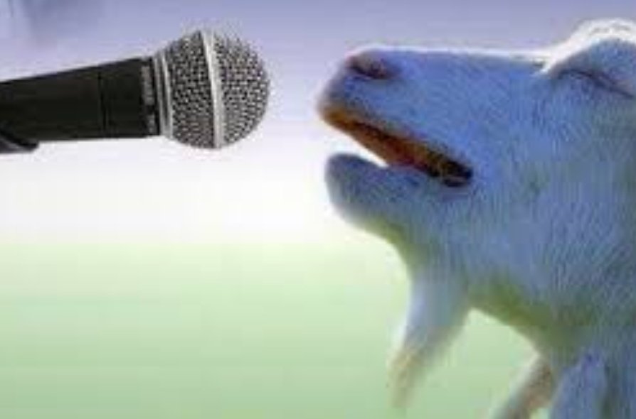 fr@nk™️ tweet media