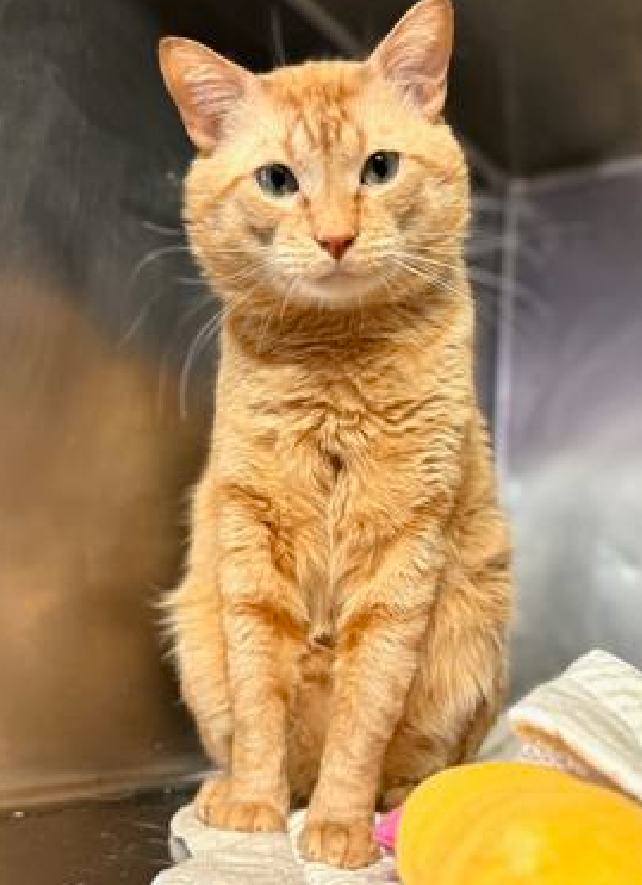 Jack5928 tweet media