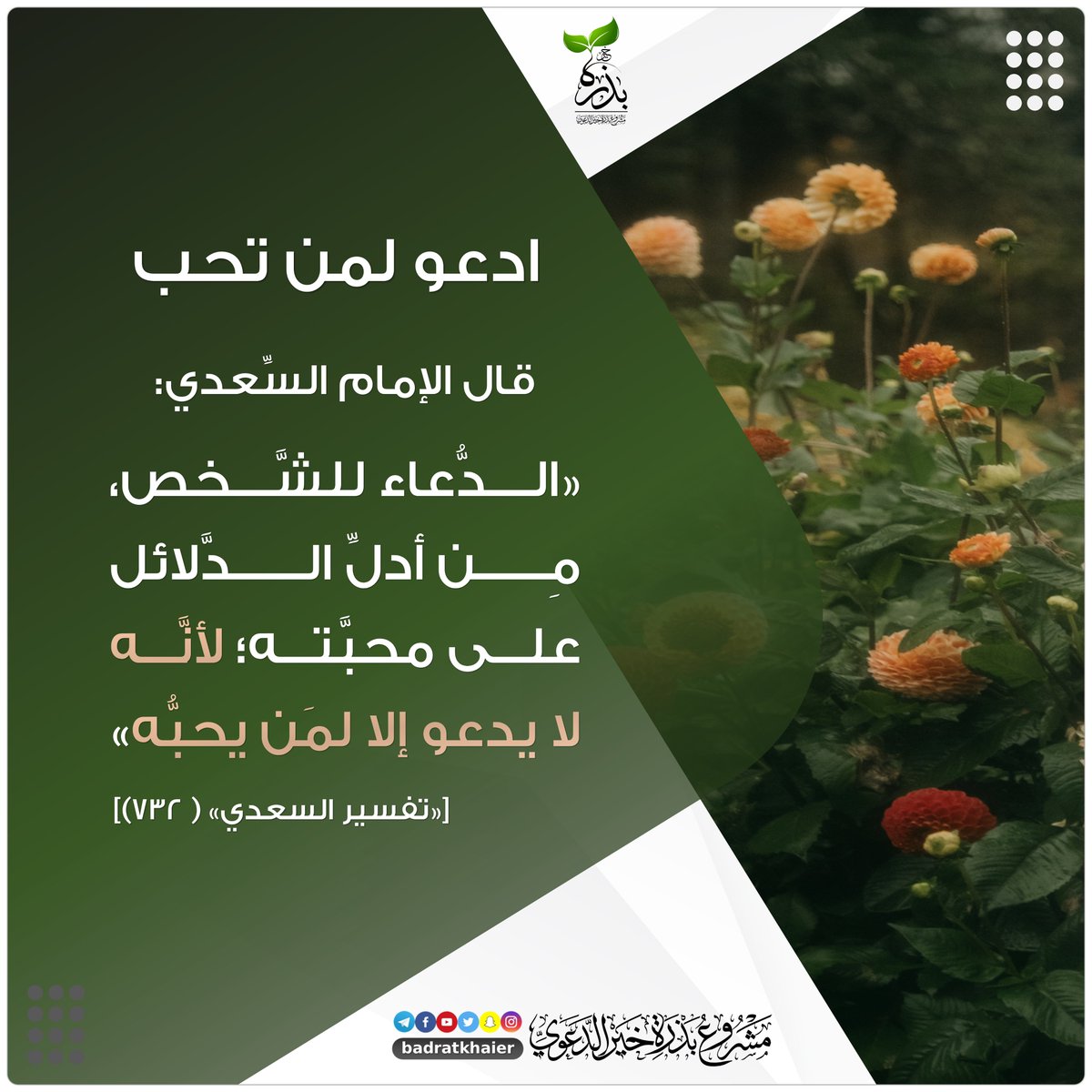 بذرة خير tweet media