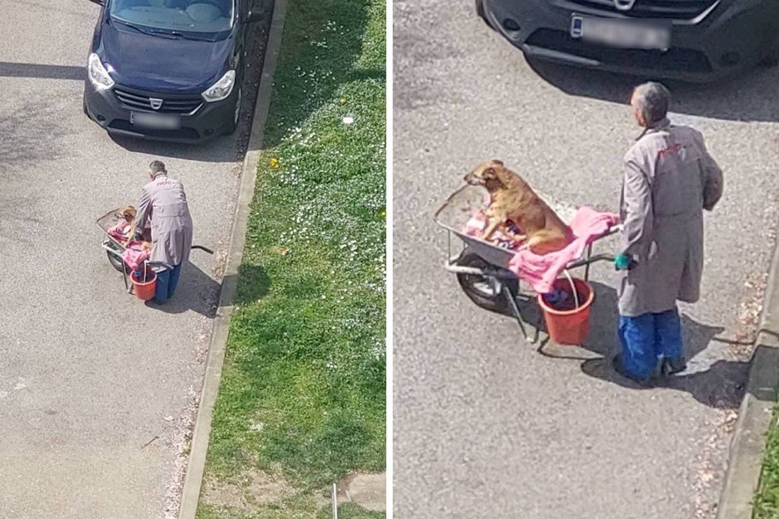 ChartFu猴子 tweet media