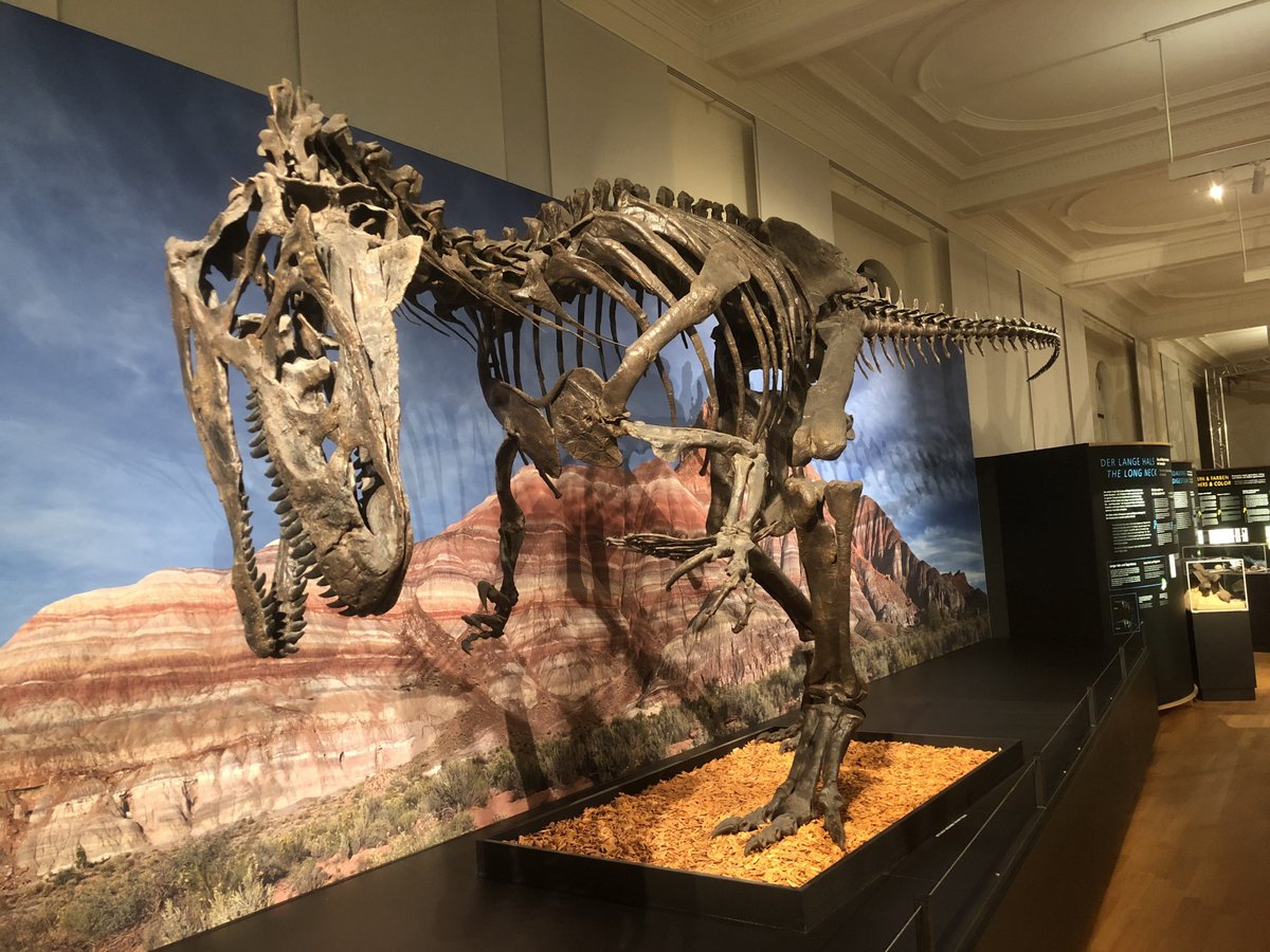 DiscussingBones tweet media