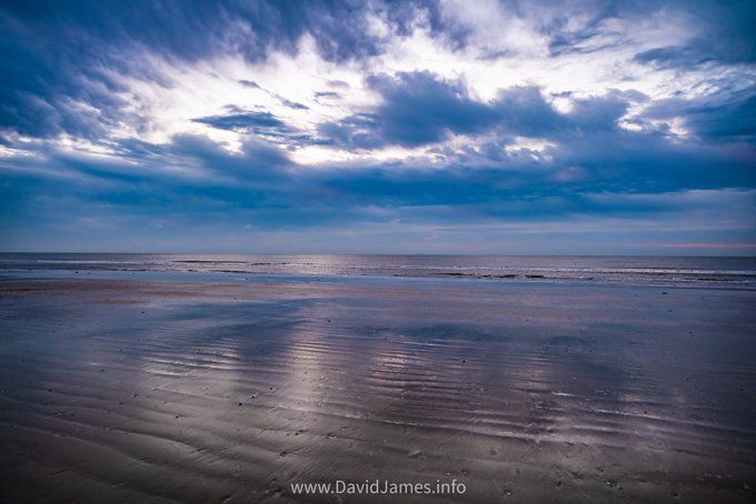 The Salty Dog Galveston tweet media