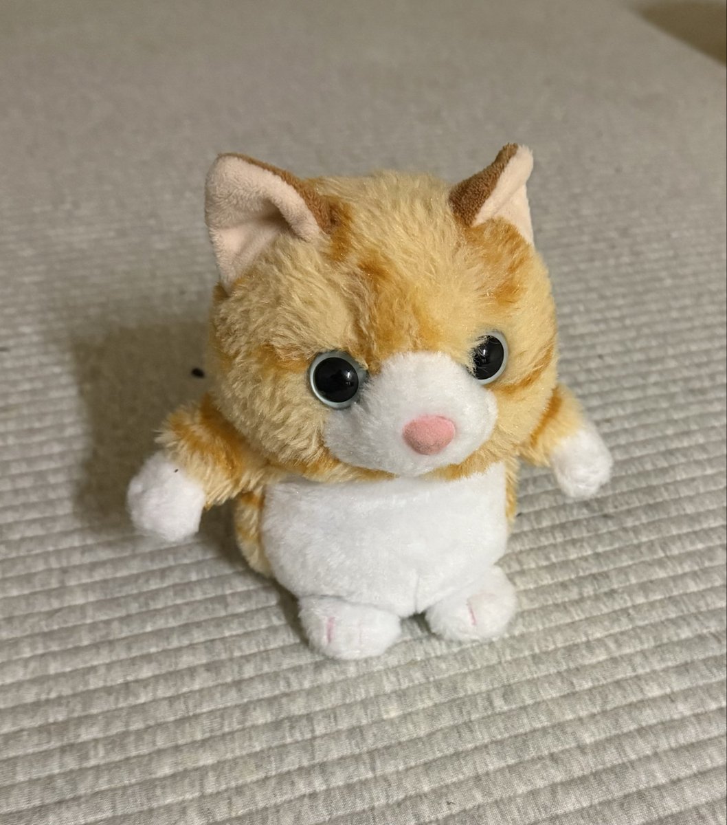 きぃ@FP2級合格を目指す tweet media