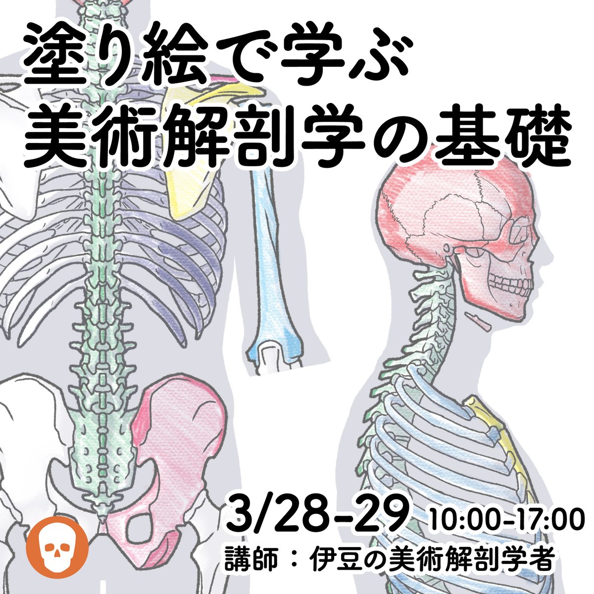 今週末は美術解剖学のオンライン講座で講師をします。一番簡単な美術解剖学の勉強方法で、全身の骨と筋を一通り勉強できます。
お申し込みはこちらから→
https://t.co/QbwlN82DU2