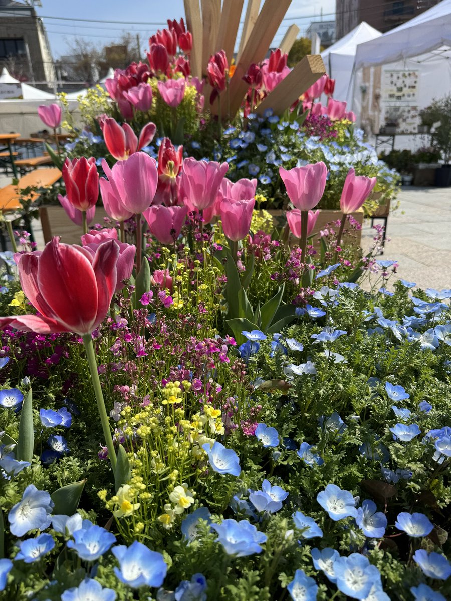 ねごとo @Imagaros🐰 tweet media