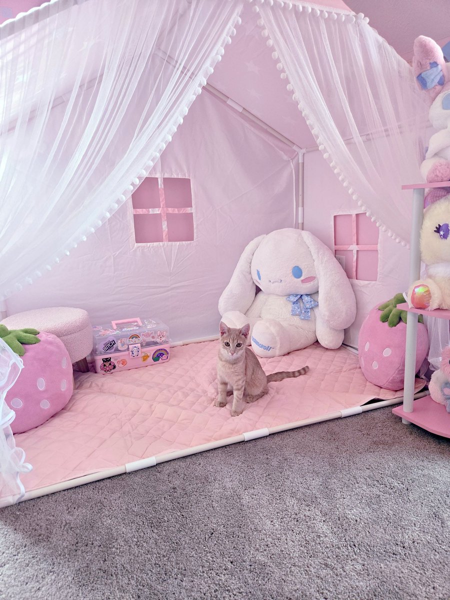 Moon 🌙 on bsky tweet media