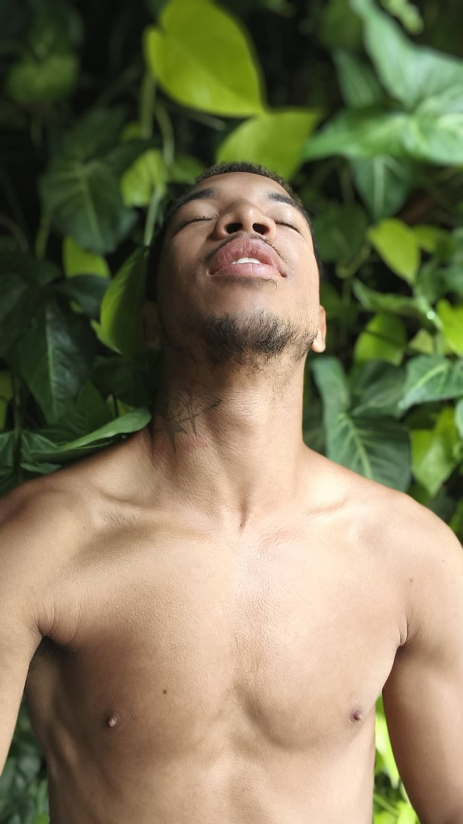 🐍Repultado 🌱 tweet media