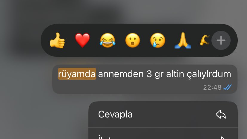 damla tweet media