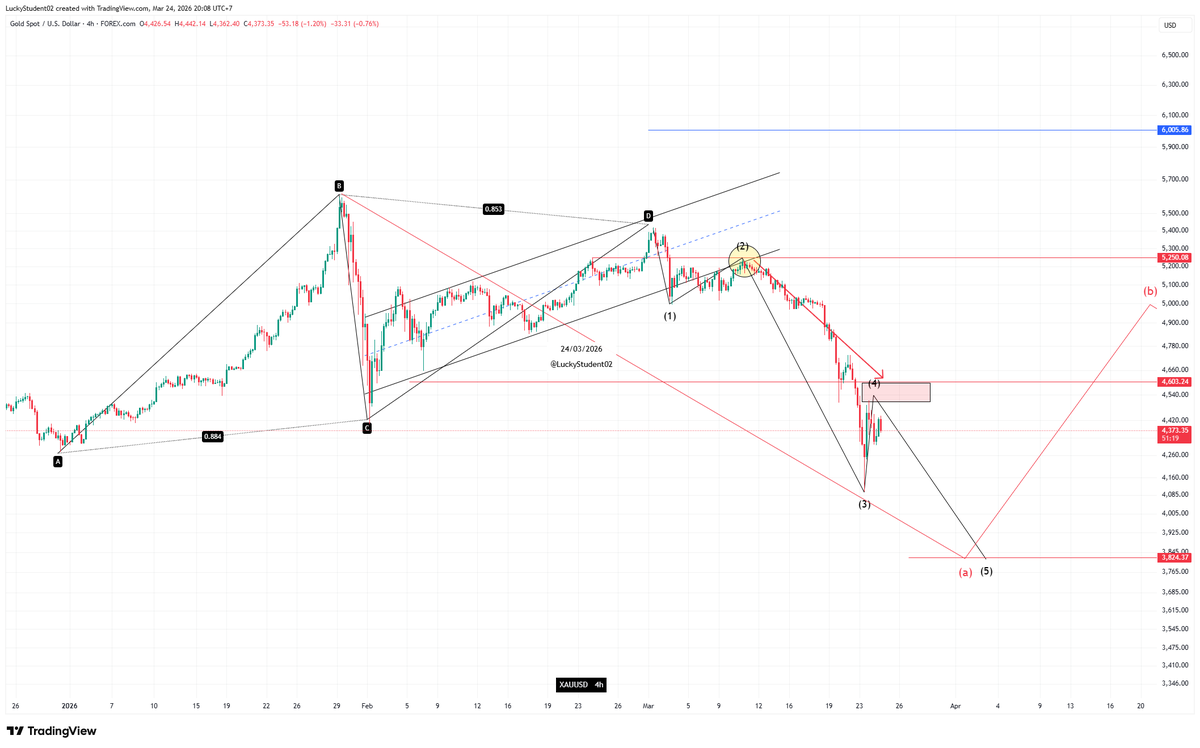 LuckyStudent02 tweet media