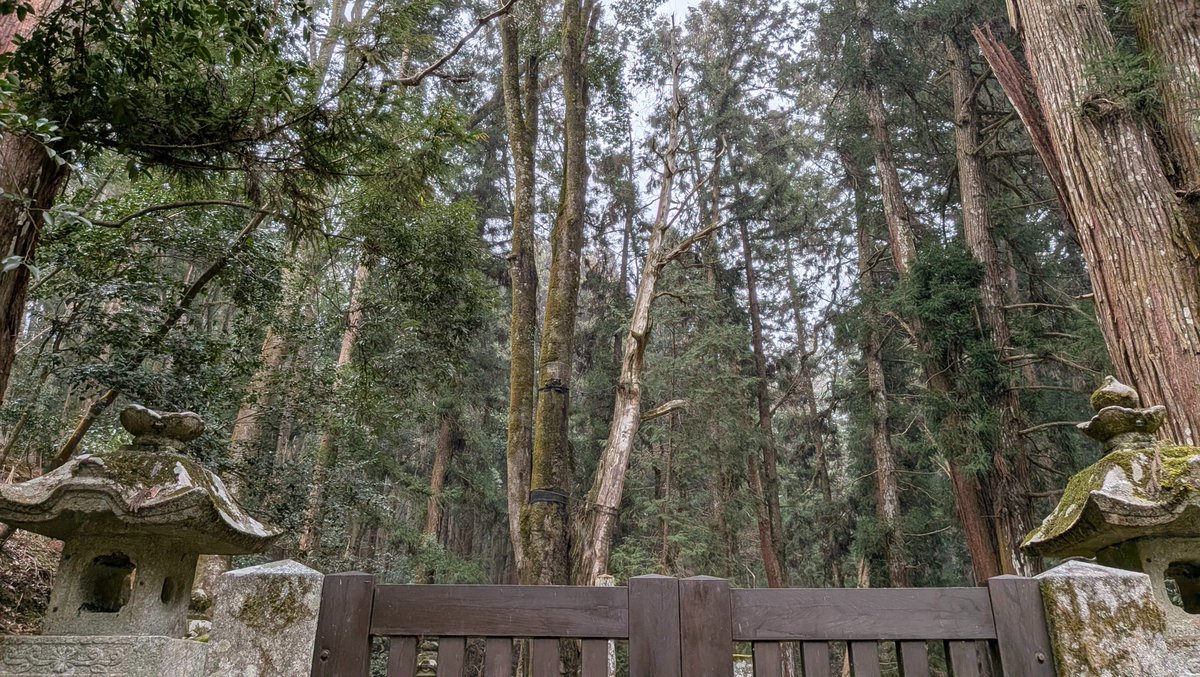 こうち(Kouchi) tweet media