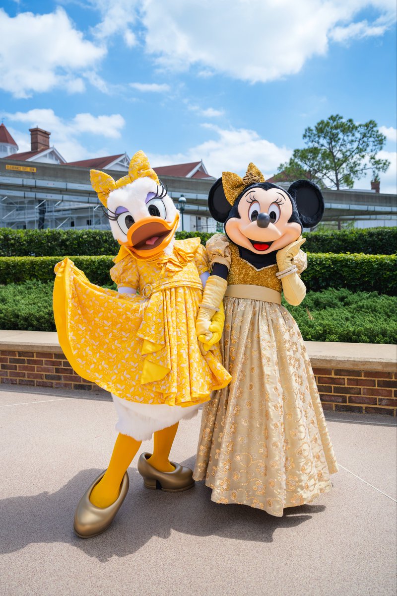 Mickey_y2's tweet image. そして主役の花嫁がファインダーから見ていた景色がこちらです💛

#FTW