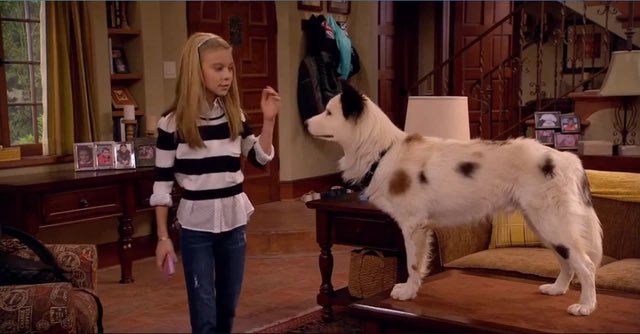 davidmarchie's tweet photo. Here’s to 13th Anniversary of Stan-ing Guard & Forward and Back It Up! #DogWithABlog #13thAnniversary #ShakeItUp https://t.co/dbLSBaTSFE