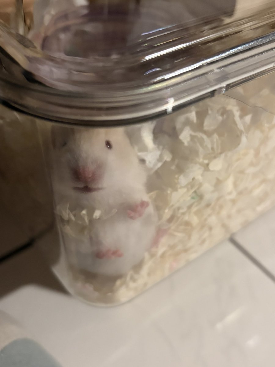 みちゃん tweet media