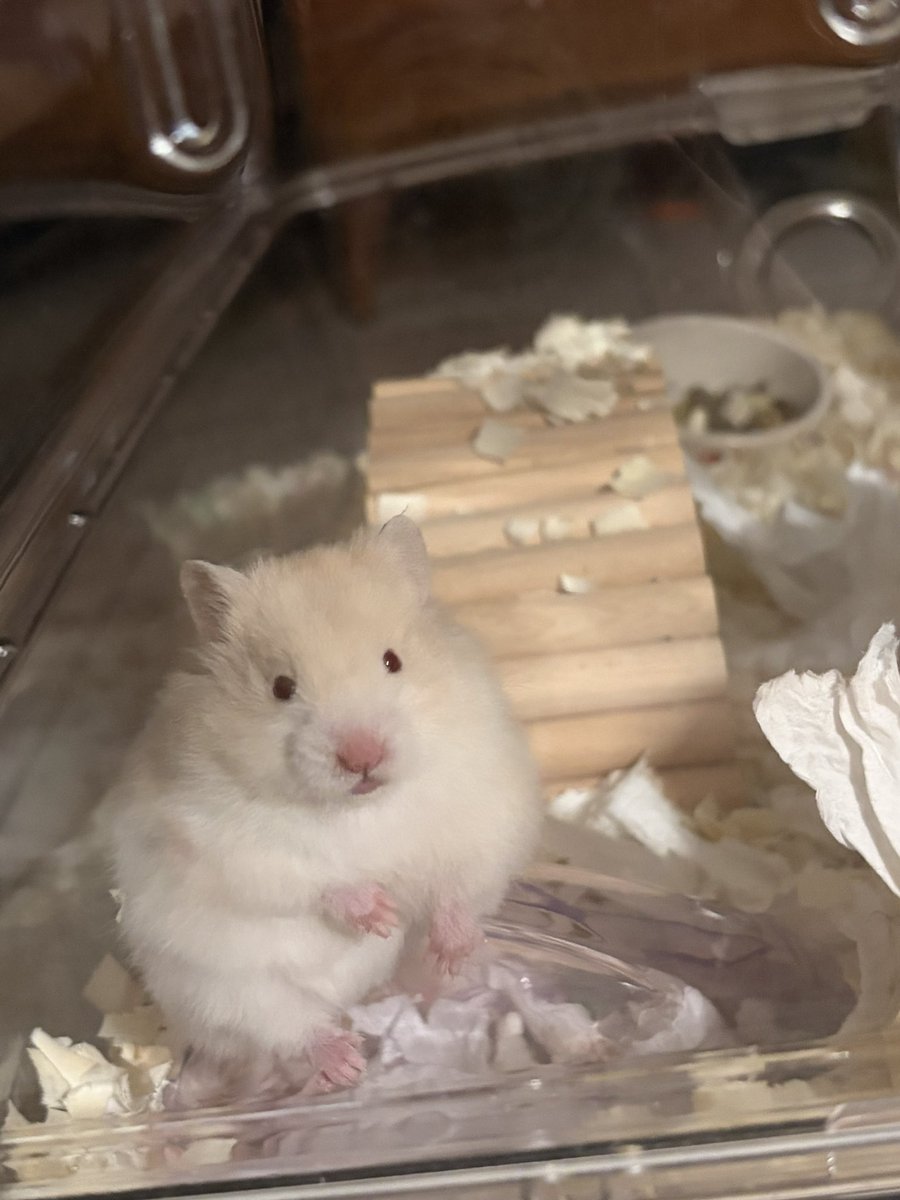 みちゃん tweet media