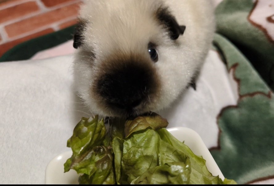 ann(ﾓﾙﾓﾙ) tweet media