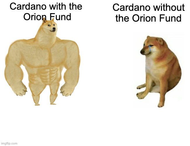 Nicolas Cerny tweet media