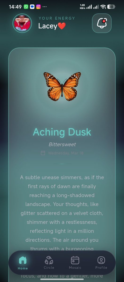 Lumivel App tweet media