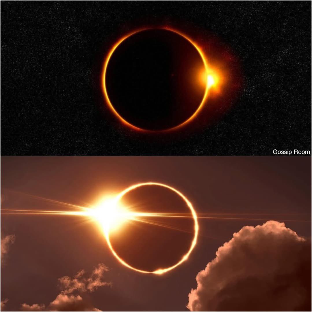 GOSSIP ROOM tweet media